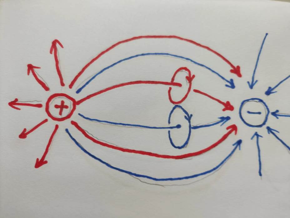 正电荷和负电荷.png